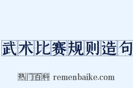 武术比赛规则造句是什么意思的图片